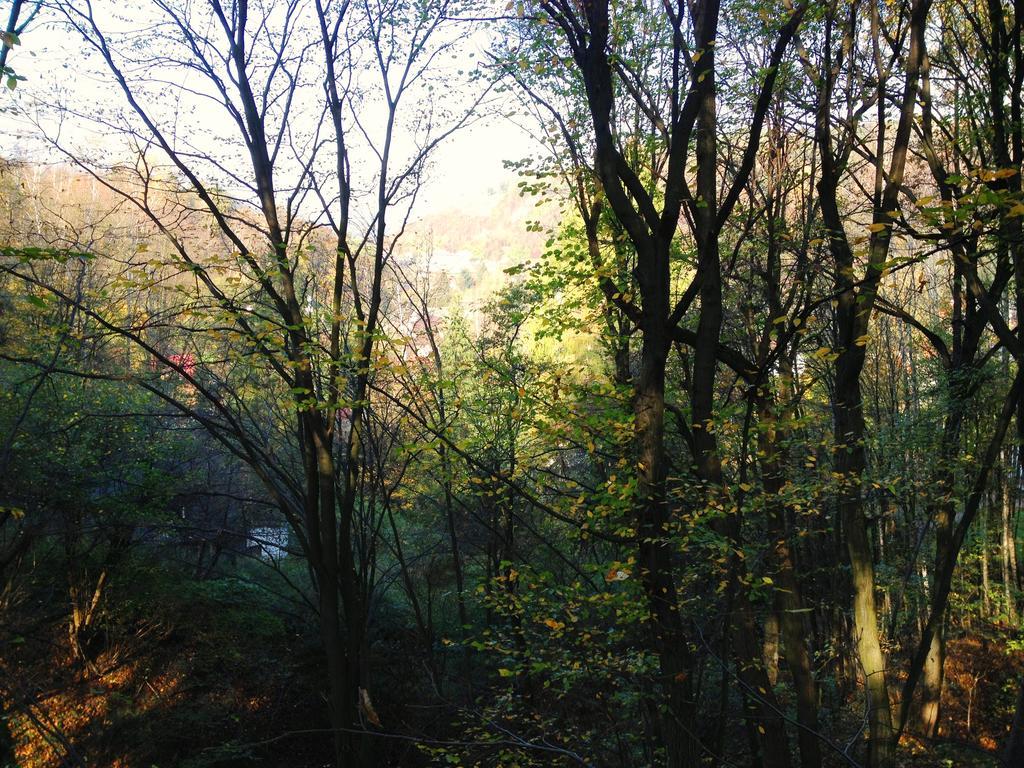 Osrodek Kwaskowa Villa Kazimierz Dolny Buitenkant foto