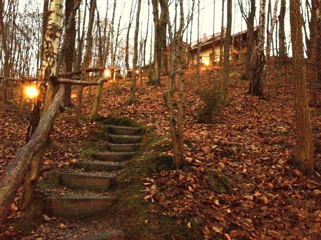 Osrodek Kwaskowa Villa Kazimierz Dolny Buitenkant foto