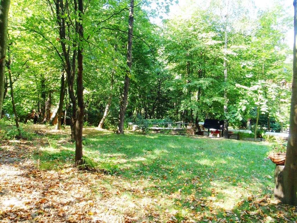 Osrodek Kwaskowa Villa Kazimierz Dolny Buitenkant foto