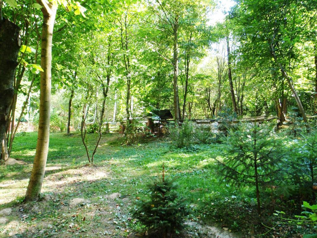 Osrodek Kwaskowa Villa Kazimierz Dolny Buitenkant foto