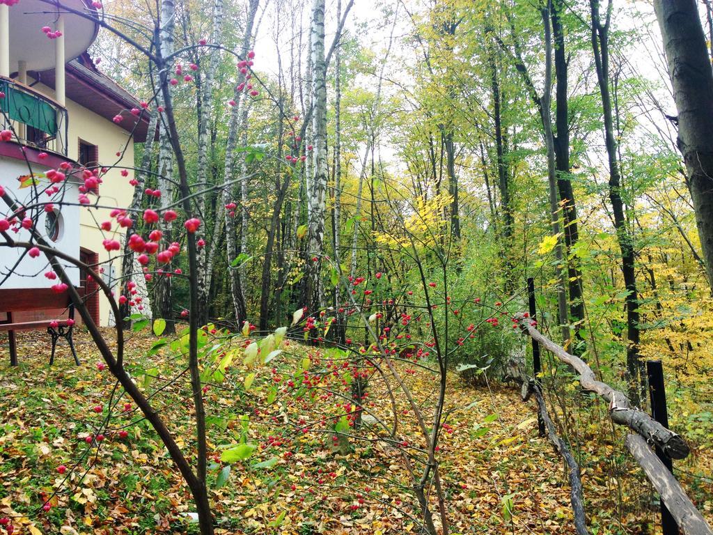 Osrodek Kwaskowa Villa Kazimierz Dolny Buitenkant foto