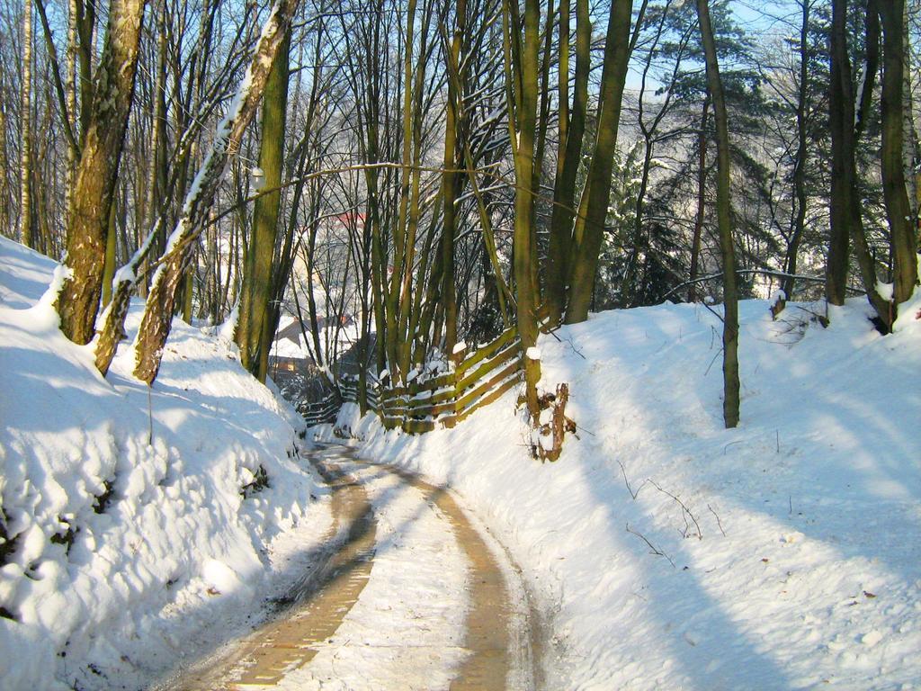 Osrodek Kwaskowa Villa Kazimierz Dolny Buitenkant foto