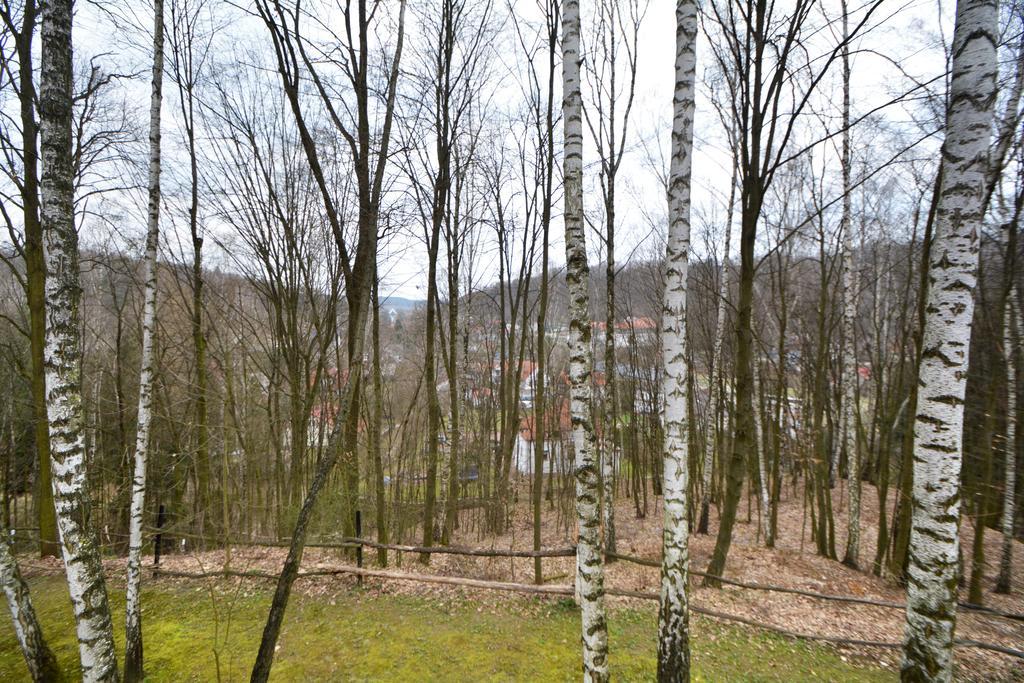 Osrodek Kwaskowa Villa Kazimierz Dolny Buitenkant foto